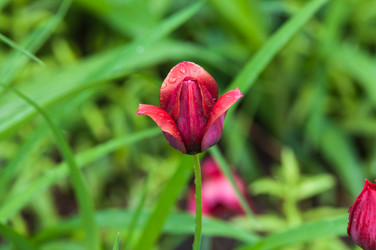 Similar image 7759330