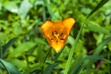 Similar image 7759332