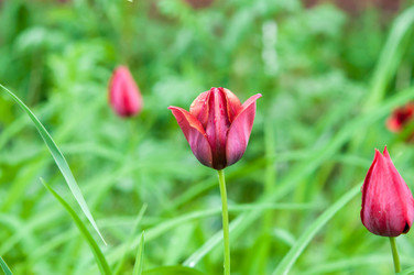 Similar image 7759334