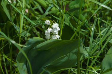 Similar image 7759336