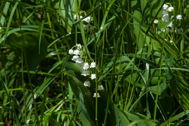 Similar image 7759337