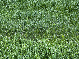 Similar image 7759348