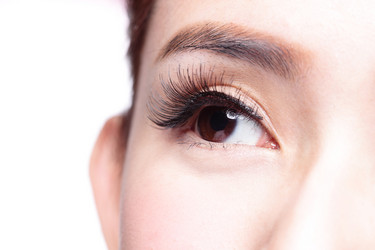 Similar image 7759506