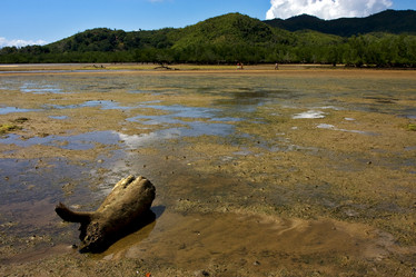 Similar image 7759719