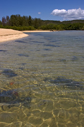 Similar image 7759747