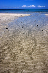 Similar image 7759753