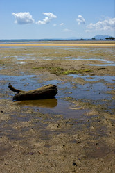 Similar image 7759755