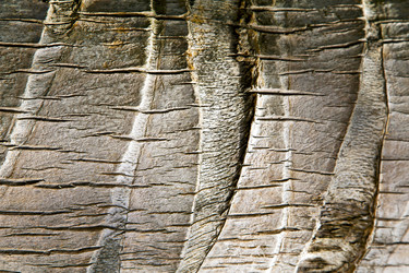 Similar image 7759761