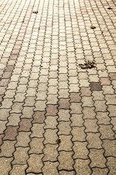 Similar image 7759807