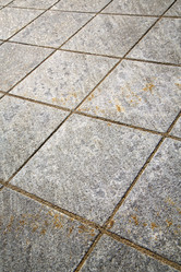 Similar image 7759824