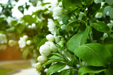 Similar image 7761092