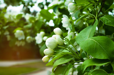 Similar image 7761097