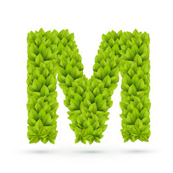 Similar image 7761345