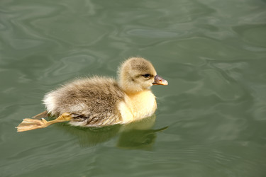 Similar image 7761691