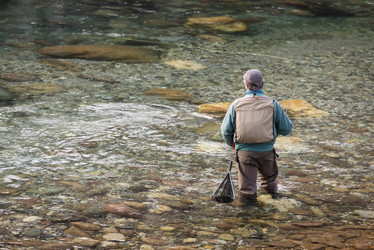 Similar image 7761728