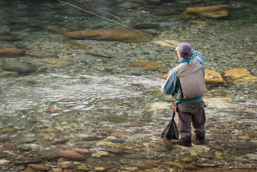 Similar image 7761735