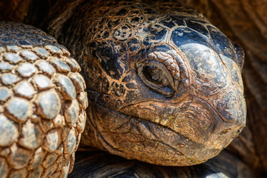 Similar image 7761801