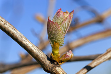 Similar image 7761890