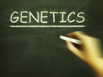 Similar image 7796485