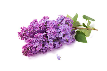 Similar image 7797356