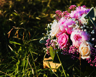 Similar image 7797423