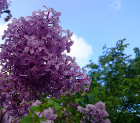 Similar image 7797450