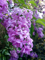 Similar image 7797452