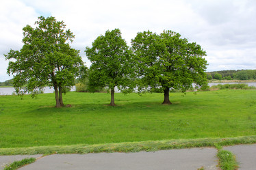 Similar image 7797454