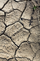 Similar image 7797467