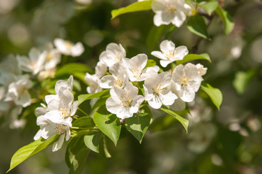 Similar image 7797485