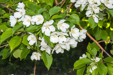 Similar image 7797486