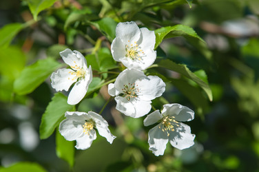 Similar image 7797487