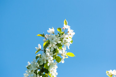 Similar image 7797493