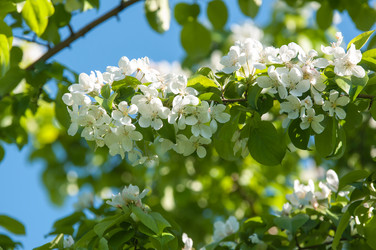 Similar image 7797494