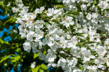 Similar image 7797495