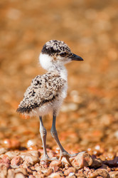 Similar image 7797500