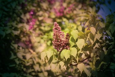 Similar image 7797613