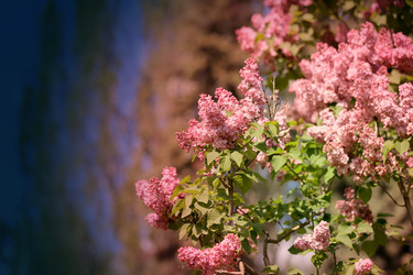 Similar image 7797614