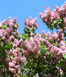 Similar image 7797615