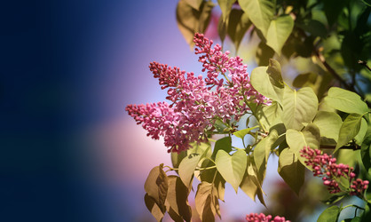 Similar image 7797616