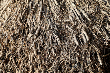 Similar image 7797619