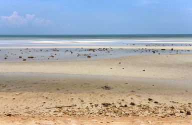 Similar image 7797620