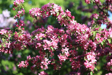 Similar image 7797624