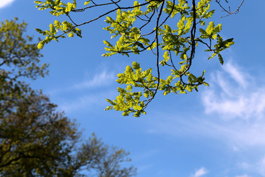 Similar image 7797639