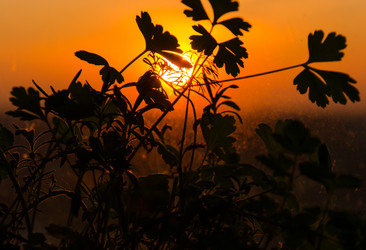 Similar image 7797665