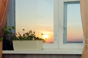 Similar image 7797668