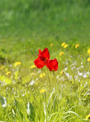 Similar image 7797673