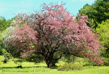 Similar image 7797683