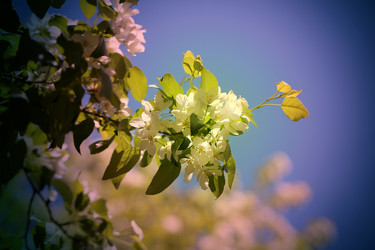 Similar image 7797684