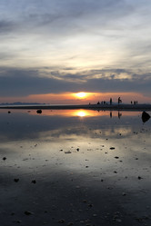 Similar image 7797687